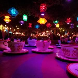 Meet your Posher, Nico